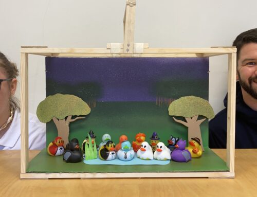 Ducks in Space – Stop Motion Video