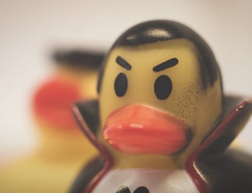 LAME DUCK Video