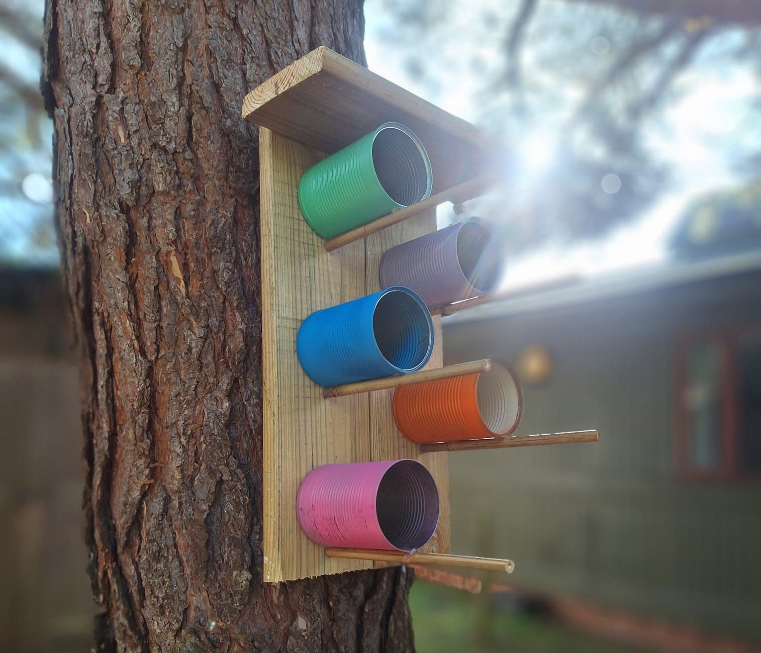Bird feeder frony