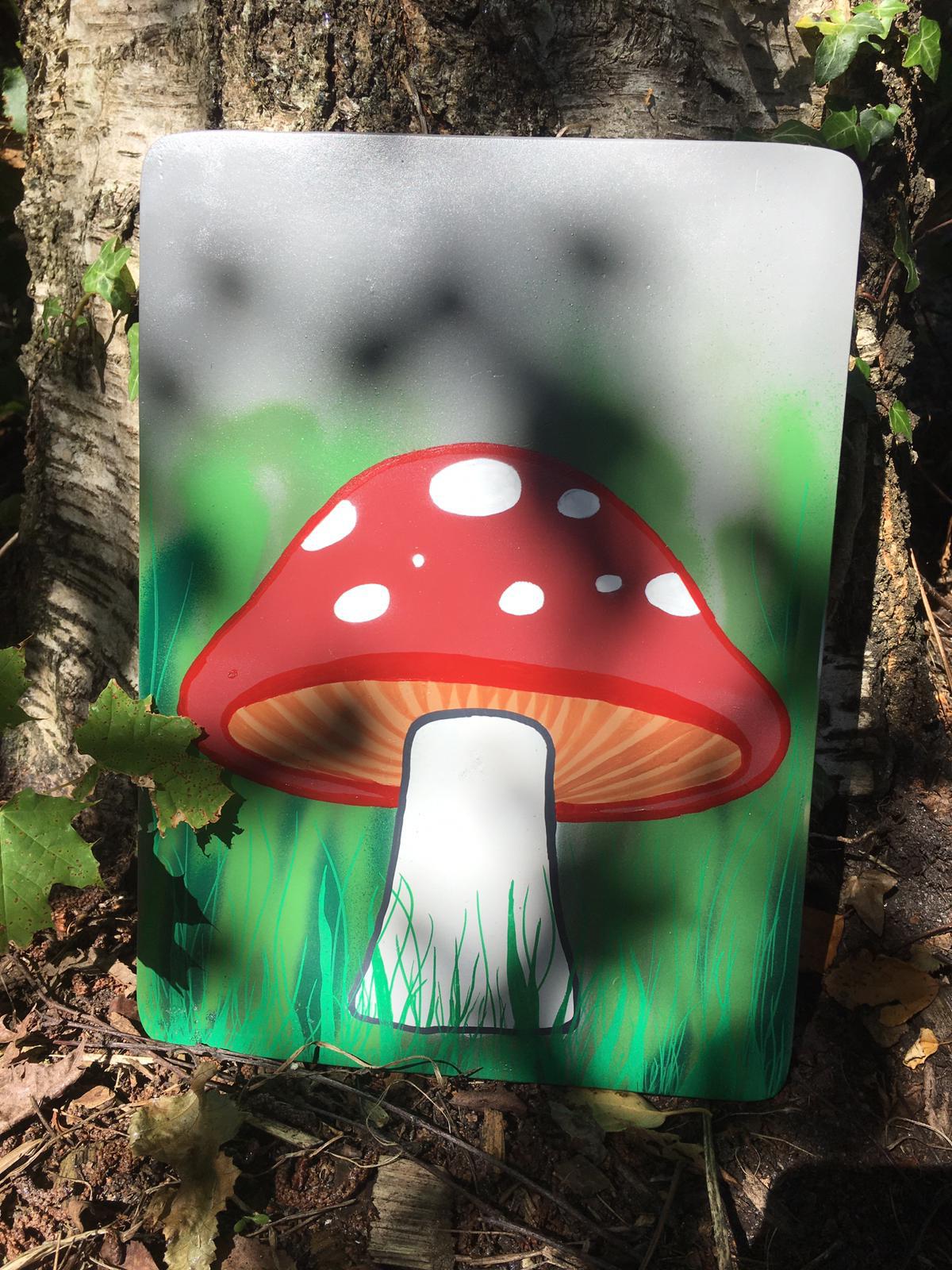Canvases 26