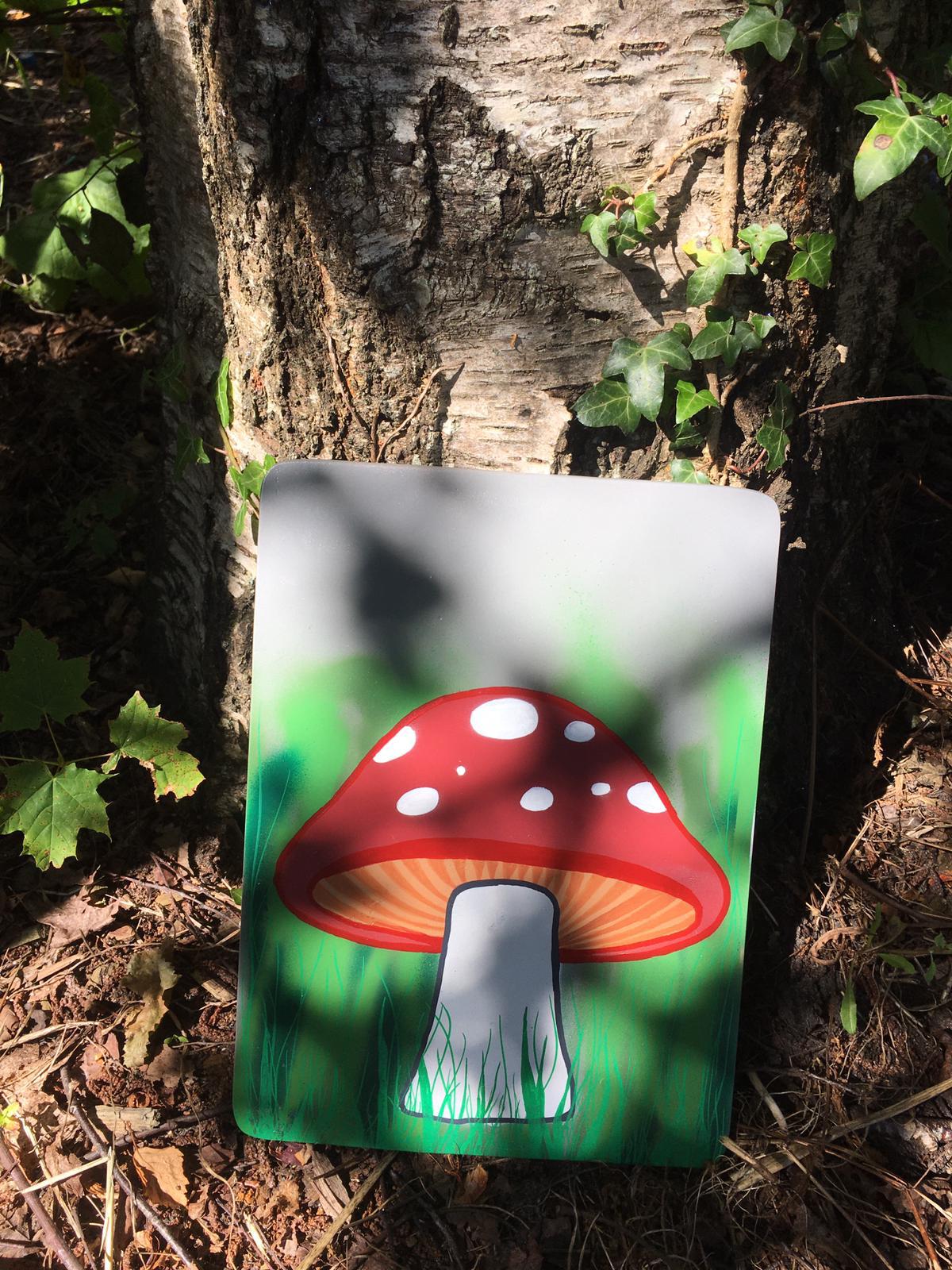 Canvases 27