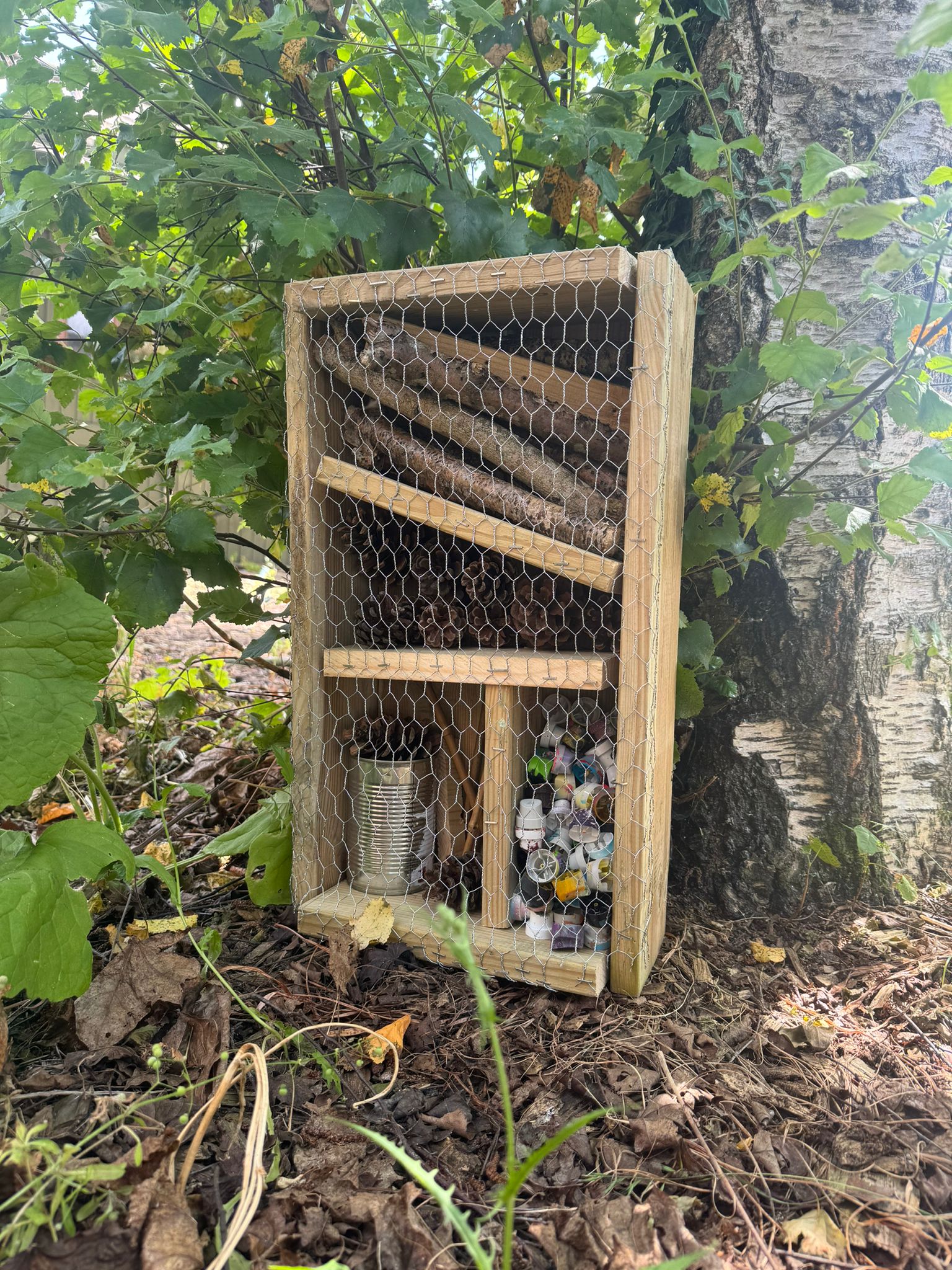 bug house 2
